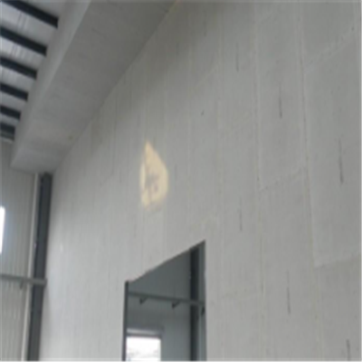 榆树宁波ALC板|EPS加气板隔墙与混凝土整浇联接的实验研讨